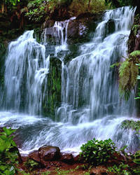 Read more about the article Živa voda