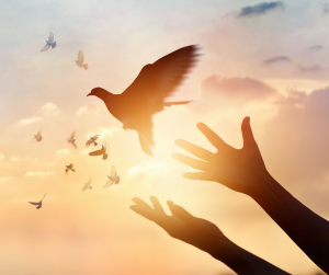 Read more about the article Še eno delo :)