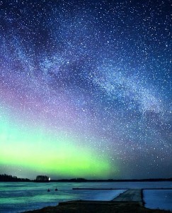 Read more about the article Kraljica senc