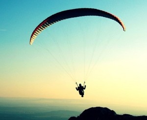 Read more about the article Pogled