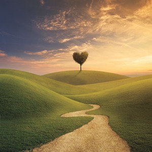 Read more about the article Pričakovanje