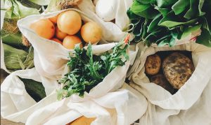 Read more about the article Predavanje: ČAROBNA FORMULA NARAVNE OSKRBE RASTLIN V VAŠEM DOMU IN OKOLI NJEGA