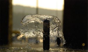 Read more about the article Predavanje: Ledvica zahtevajo komunikacijo s Stvarstvom