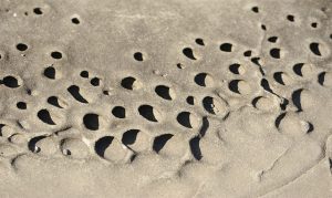 Read more about the article Predavanje: NIMAM ČASA